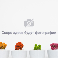 Вало Меркюр Хотел Энд Резиденс Санкт-Петербург / Valo Mercure Hotel And Residences Saint Petersburg